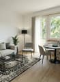 modern design, L-shaped sofa, coffee table, TV, dining table, dining chairs, carpet, potted plants, picture frame