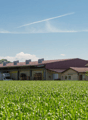 Large building with multiple storage areas, trucks, warehouse, large field, trees in the distance