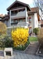 Immagine dell’oggetto