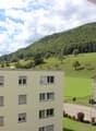 Two buildings, one with a green roof, another with a brown roof, surrounded by a green field and a mountain