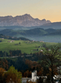 Immagine dell’oggetto