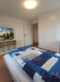 Spacious bedroom with large TV, white walls, wooden floor, and a patterned blue and white bedspread. There is a cabinet with wicker baskets and a potted plant in the corner.