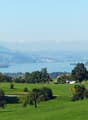 lush green lawn, trees, distant buildings, view of mountains and lake
