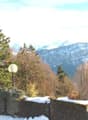 The image shows a scenic mountain landscape with pine trees in the foreground and snow-capped peaks in the background. There appears to be a fence or railing in the foreground, suggesting this is a viewpoint or observation deck overlooking the natural sce