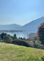 A garden with a view of a lake and mountains in the distance