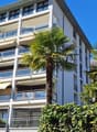Multi-story apartment building with balconies, surrounded by palm trees and greenery