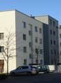 DSC06478.JPG