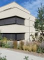 Modern architectural design, large windows, black sunblinds, concrete floor, shrubs and plants, pine tree