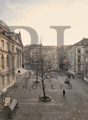 The image shows a historic city square with ornate buildings, cobblestone streets, and a lone tree in the center. There are people walking through the square, and the overall atmosphere appears to be one of a quaint, European-style urban setting.