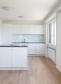 modern kitchen, white cabinets, black granite countertops, island, built-in appliances, wooden floors, large windows with balcony access
