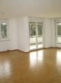 Spacious room, wooden floor, large windows, balcony, trees view