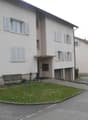 HAus