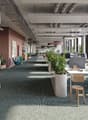 Open floor plan with desks, modern office furniture, glass walls, natural light, large windows, greenery, wooden stools, red and white chairs
