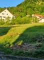 Houses overlooking a slope, surrounded by greenery and a clear sky