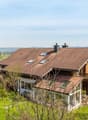 Immagine dell’oggetto