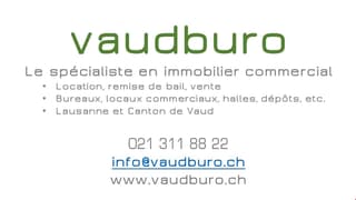 Vaud locaux/ateliers/dépôts/stockage/arcade/etc. au REZ. (3)