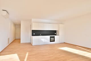 Nuovo e prestigioso appartamento 2.5 a due passi dal Lago Maggiore / Neue und exklusive 2.5 Wohnung am Lago Maggiore (3)