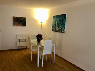 Schöne, helle Wohnung in Zürich Seefeld (2)