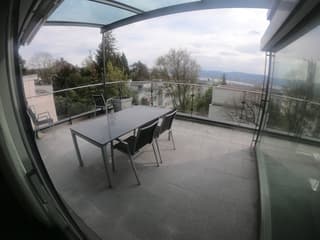 Top-Jewel! Attika-Wohnung am Zürichberg (4)