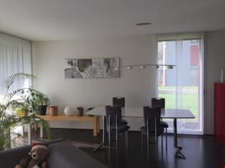 Exklusive, moderne 4.5 Zimmer-Gartenwohnung mit grossem, eigenen Gartenanteil (3)