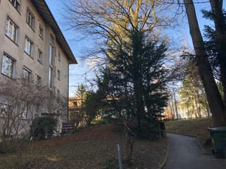 Wohnung im Hochparterre im Schosshalde-Obstbergquartier (2)