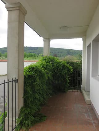 Balkon mit Zugang zum Garten