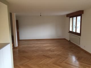5.5 Zi-Maisonette-Whg, 128 m2 ruhiger Lage, Balkon, Sitzplatz, Röschenz (2)