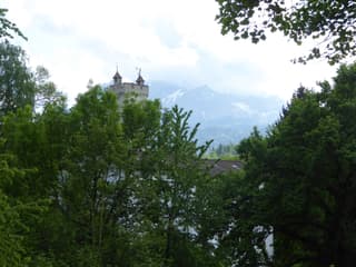 Zentrale Wohnung in Luzern mit Blick ins Grüne und Pilatus (3)