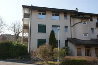 Duplex-/Maisonette-Wohnung in Schaffhausen (2)