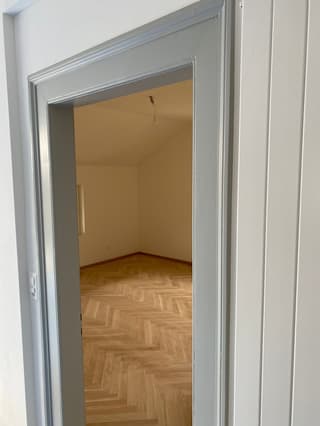 Neu exklusiv renovierte Wohnung (4)