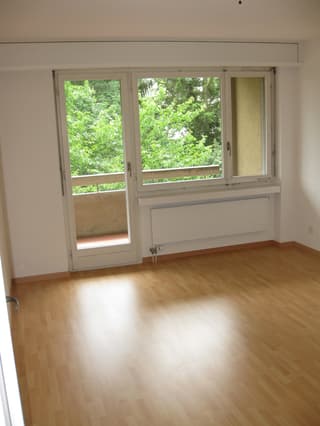Ruhige 3.5 - Zimmer-Wohnung in Schwamendingen (4)