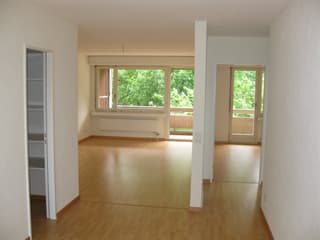 Ruhige 3.5 - Zimmer-Wohnung in Schwamendingen (3)