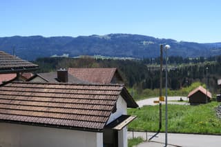Typisches Jura-Mehrfamilienhaus inkl. Gewerbe und Pferdestall (3)