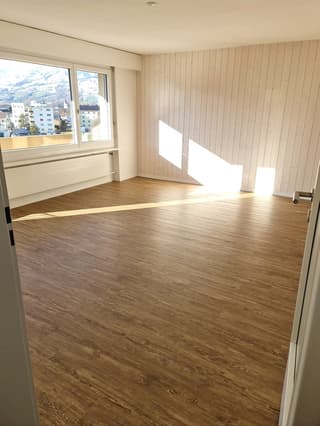 Neu renovierte 2.5 Zi-Wohnung in Seewen SZ (4)