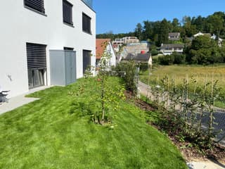 Wunderschöne Gartenwohnung an bester Lage in Therwil (4)