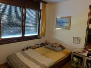 2-Zimmer-Wohnung in Wetzikon ZH (3)