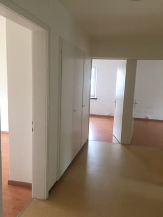 Nach Teilsanierung 4 1/2-Zimmer-Wohnung an zentraler Lage in Zürich-Schwamendingen (3)