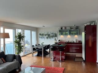 Appartement de standing - 4,5 pièces - terrasse de 46m2 vue lac - quartier calme et résidentiel (4)