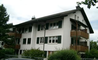 4.5 Zimmer-Wohnung in Niederglatt ZH (2)