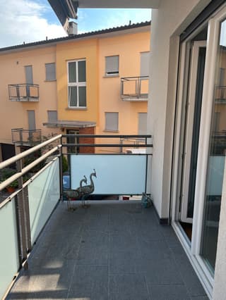 Apartment in Mendrisio (2)