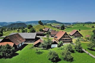 Denkmalgeschütztes Bauernhaus in Weilerzone von Menzingen zu verkaufen (2)