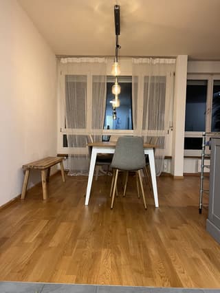Möbliertes Wohnung in Basel 4053 (4)