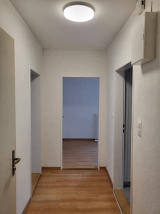 Frisch renovierte Altbauwohnung (2. Stock - ohne Lift) (3)