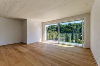 Erstbezug: Moderne Klimaholzhaus-Wohnung in Luzern (3)