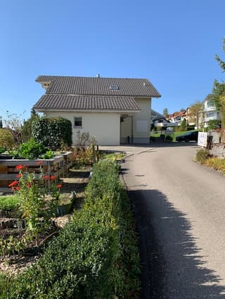 Einfamilienhaus mit Einlegerwohnung an sonniger Lage in Ruswil (3)