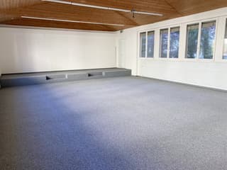 Büro/Atelier/Ausstellungsraum/Seminarraum an ruhiger Lage in Birsfelden (3)