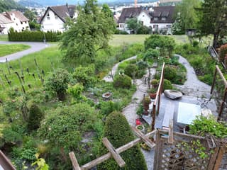 Mehrfamilienhaus mit traumhafter Aussicht ins Rheintal (3)