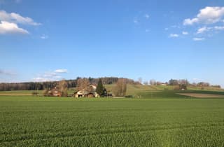 Einfamilienhaus/Bauernhaus in Hettlingen (2)