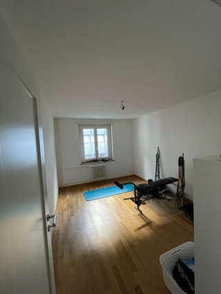 Wohnung in Luzern (2)