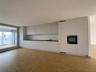 Moderne Wohnung mit offener Küche (4)